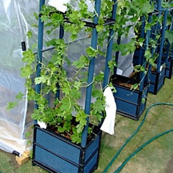 Garden Box GBU02 (Usagi)