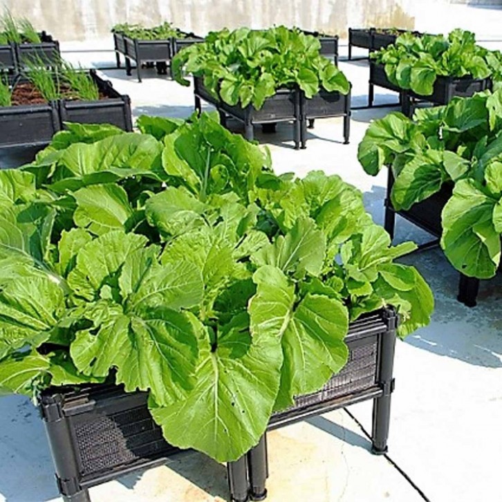 Garden Box GBU03 (Usagi)