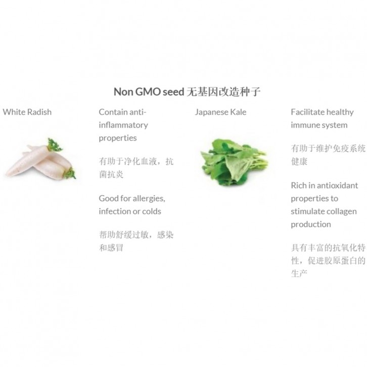 Microgreen Box (Baba)