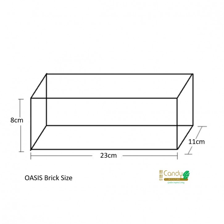 PREMIUM Floral Foam (Oasis)