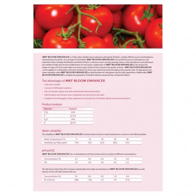 MKP Bloom Enhancer (STARX)