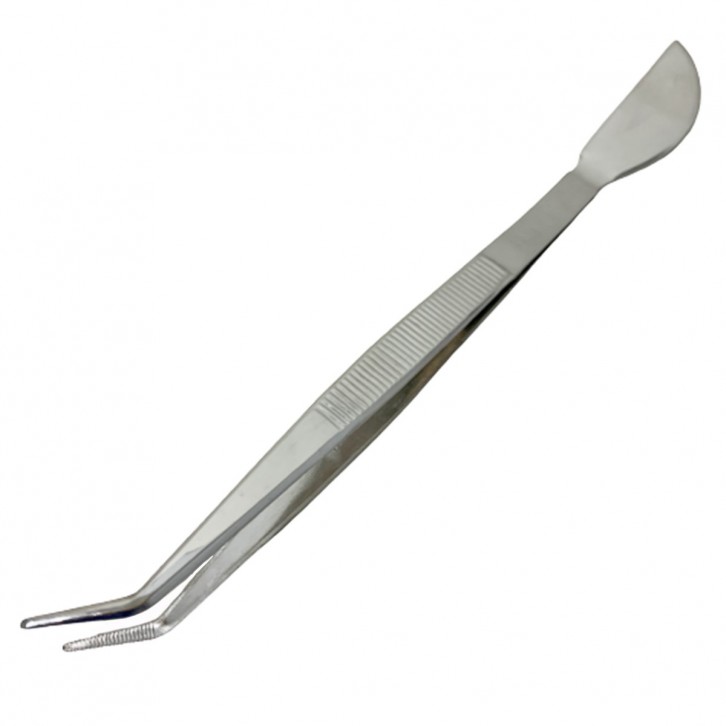 Tweezer with Spatula  - Stainless Steel (Japan)