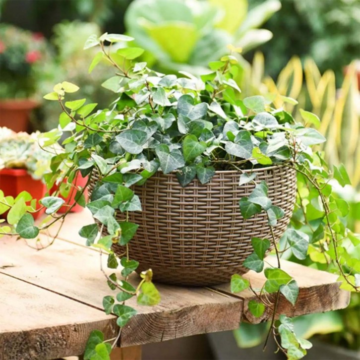 Plastic Rattan-Design Hanging Pot