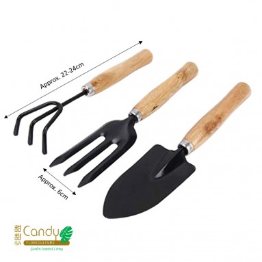 3 Pcs Garden Tool Set (Wooden Handle)