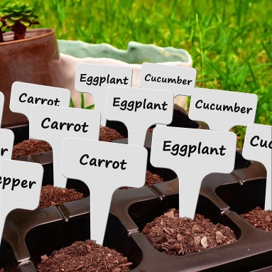Plant Label