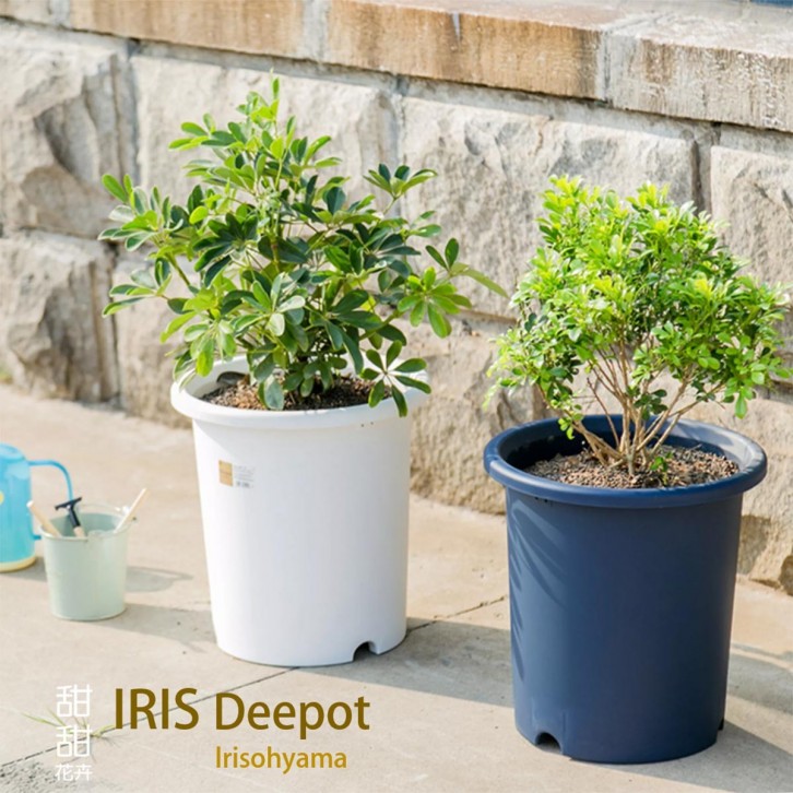 Plastic Planter Pot - Deepot Irisohyama (IRIS)