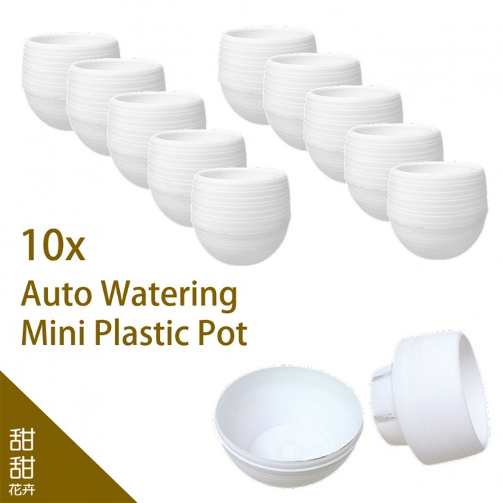 Auto Watering Mini Plastic Pot
