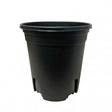 Plastic Planter Black Pot - Fei Tian Lin (飞天霖)