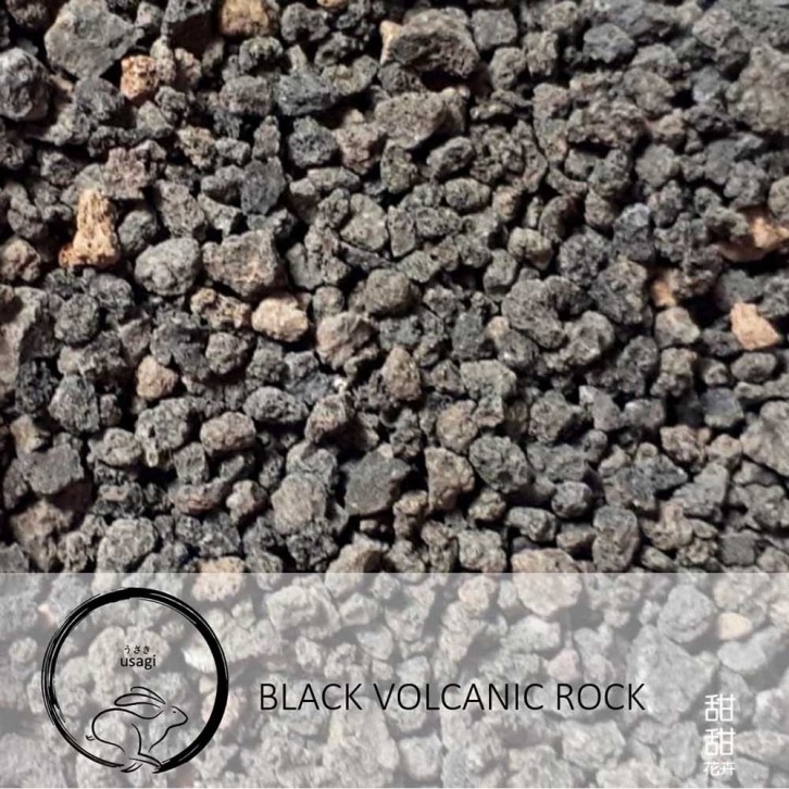 Volcanic Rock - Black (Usagi)