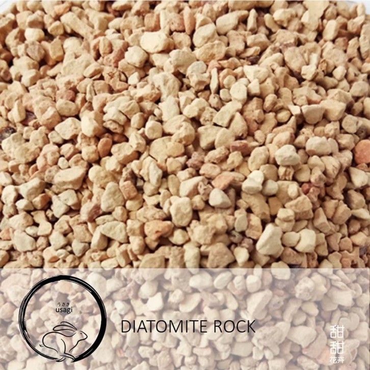 Diatomite Rock (Usagi)