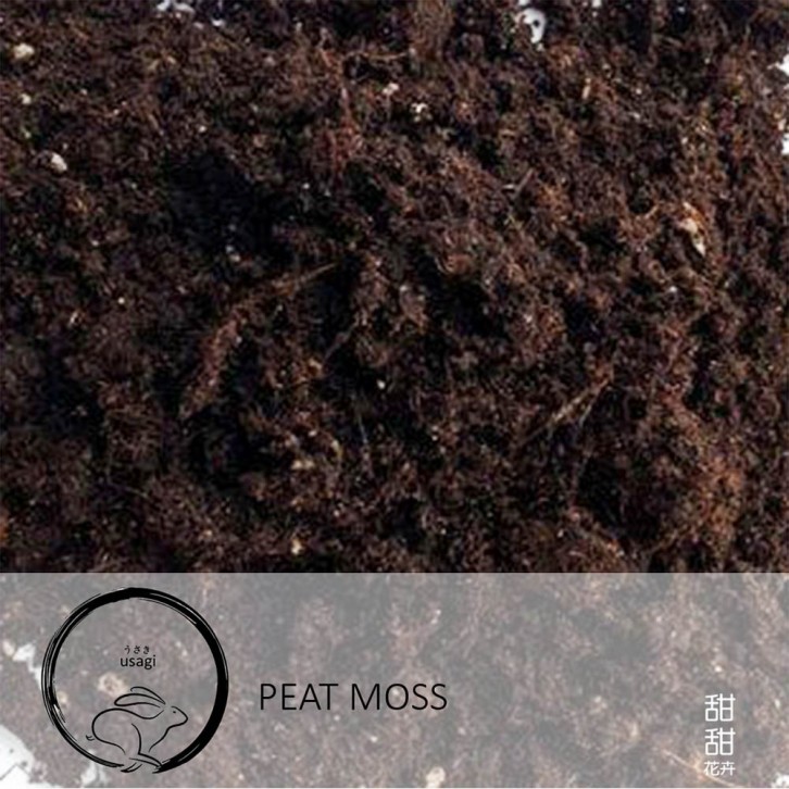 Peat Moss (Usagi)