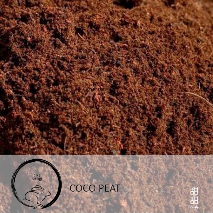 Coco Peat (Usagi)