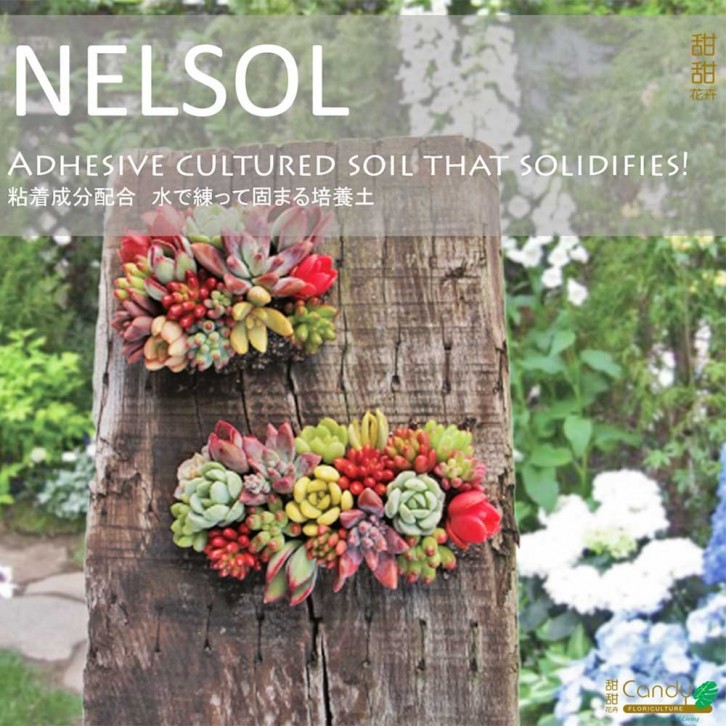 Nelsol Adhesive Culture Soil (Usagi)