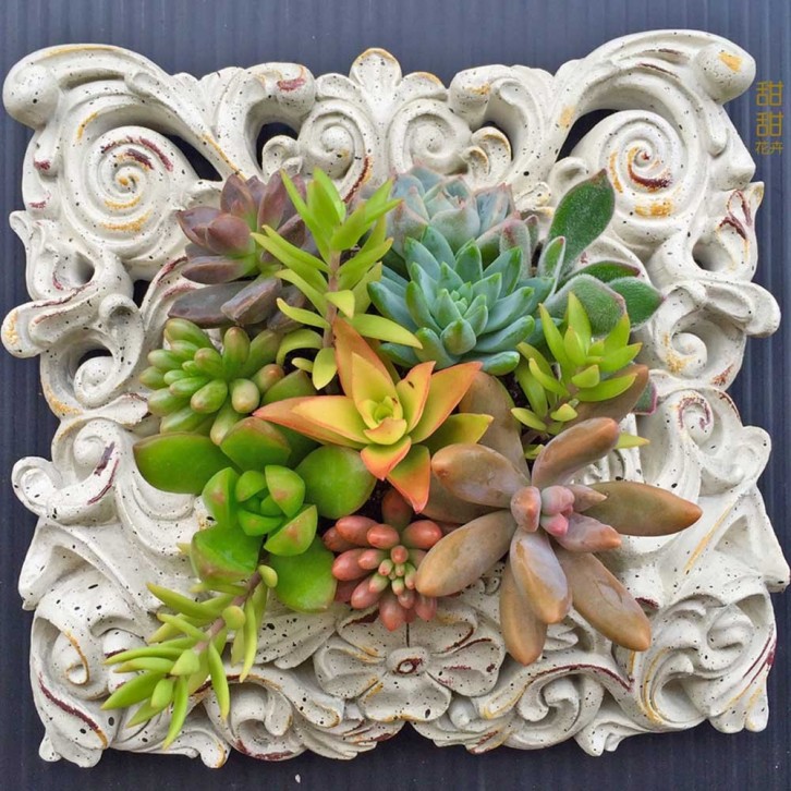 Nelsol Adhesive Culture Soil (Usagi)