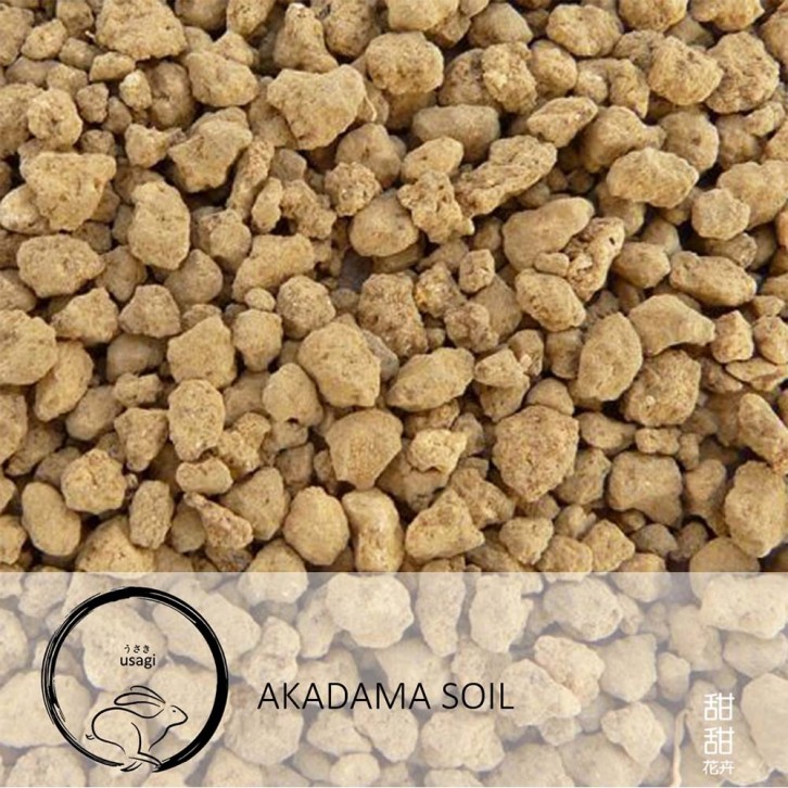 Akadama Soil 赤玉土 (Usagi)