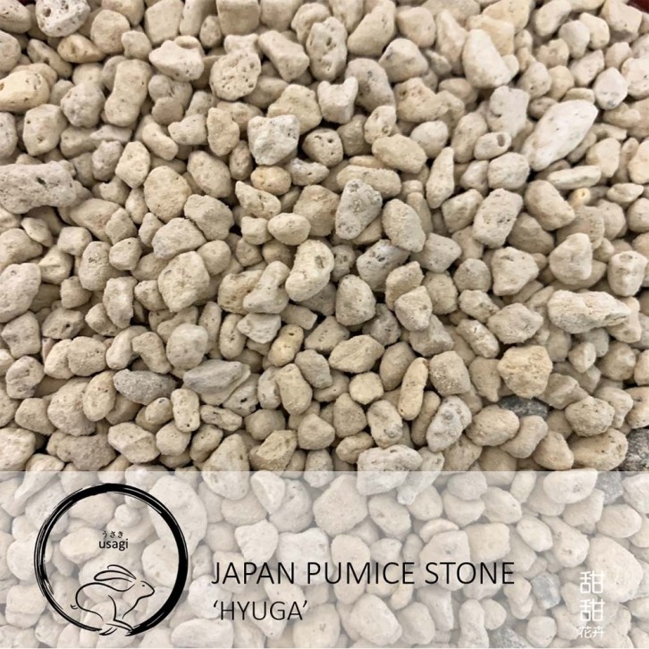 Japan Pumice Stone 'Hyuga' (Usagi)