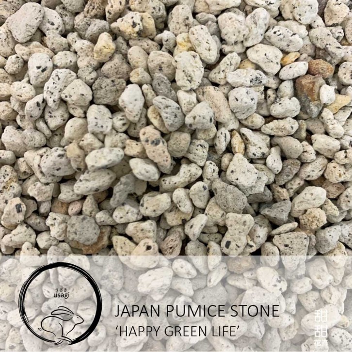 Japan Pumice Stone 'Happy Green Life' (Usagi)