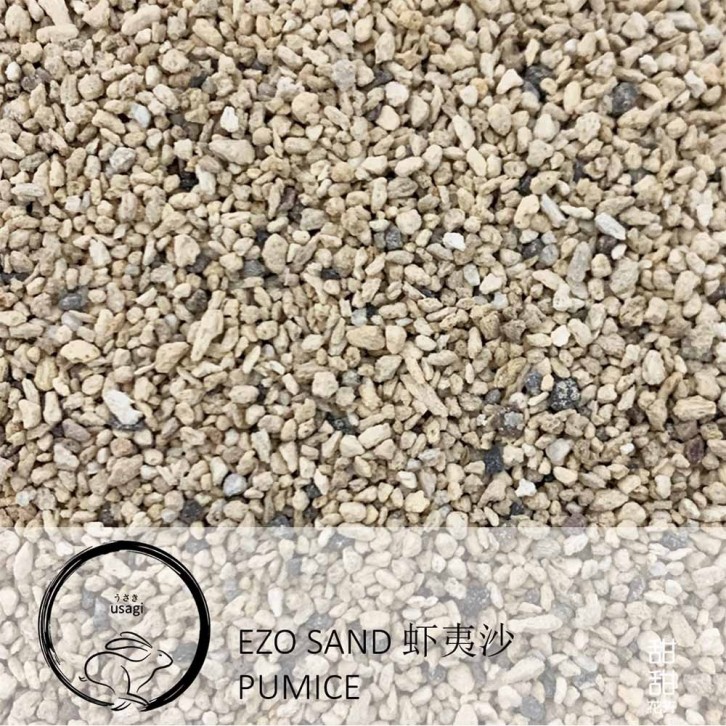 Ezo Sand 虾夷沙 Pumice (Usagi)