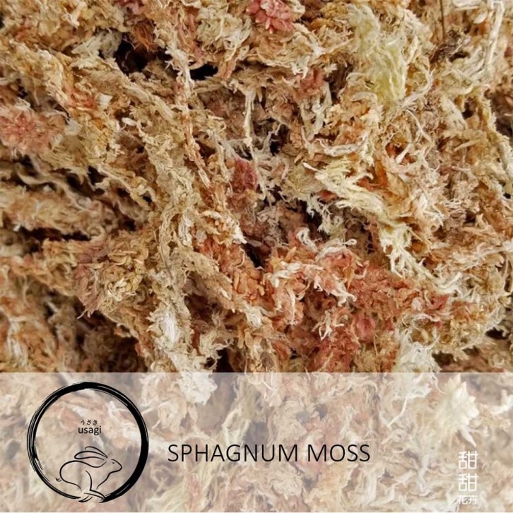 Sphagnum Moss (Usagi)