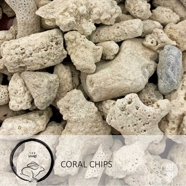 Coral Chips 1-3cm (Usagi)