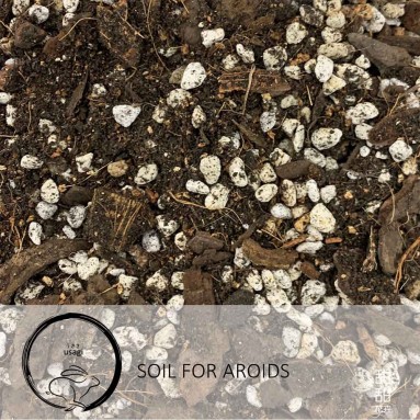 Soil for Aroids (Usagi)