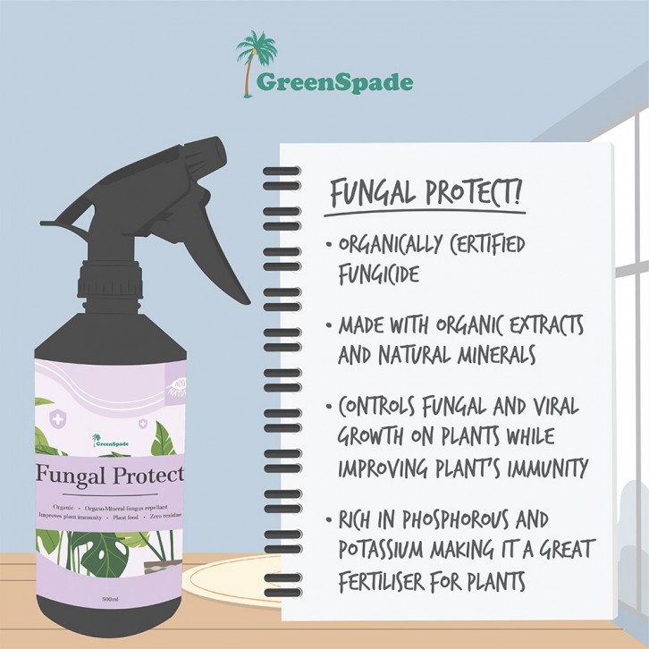Fungal Protect RTU (GreenSpade)