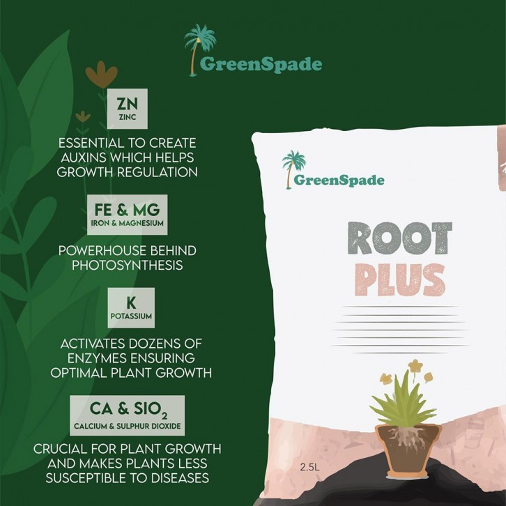 Root Plus (GreenSpade)