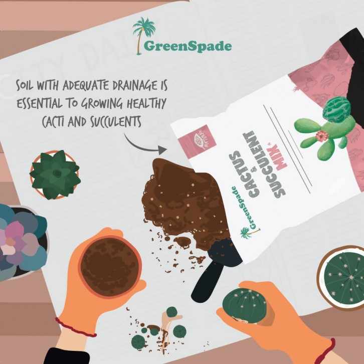 Cactus & Succulent Mix (GreenSpade)