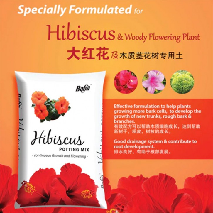 Hibiscus Potting Mix (Baba)