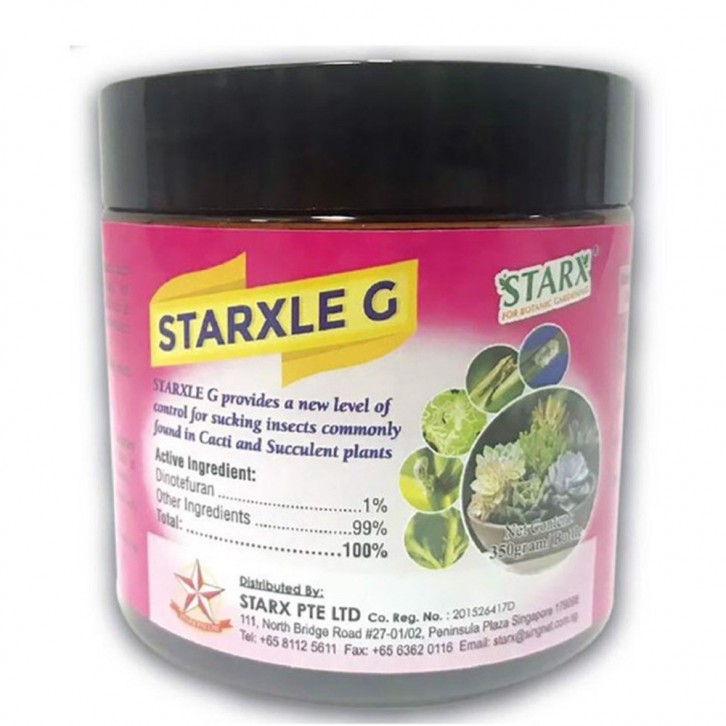 Starxle G (STARX)