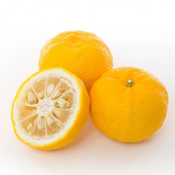Yuzu 柚子 ゆず Citrus Junos (JAPAN)