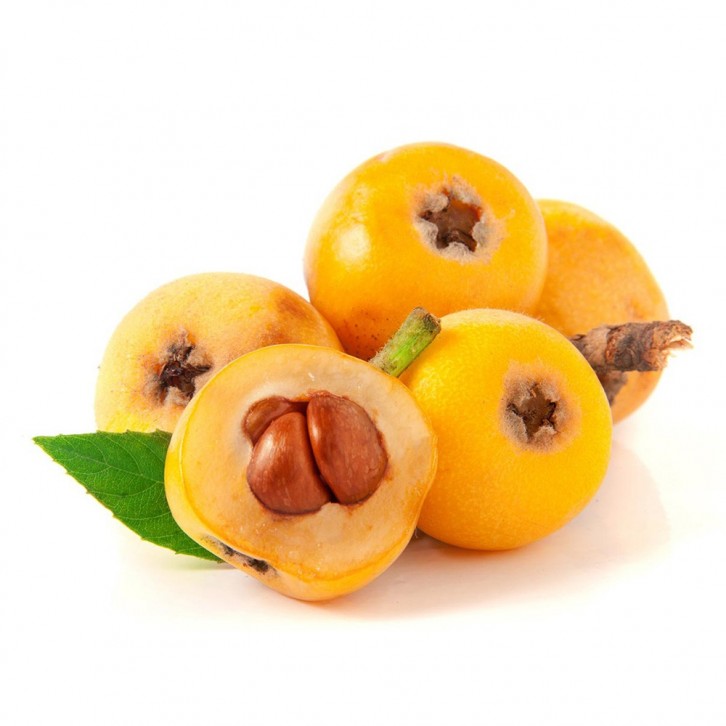 Loquat 枇杷 びわ Eriobotrya Japonica (JAPAN)