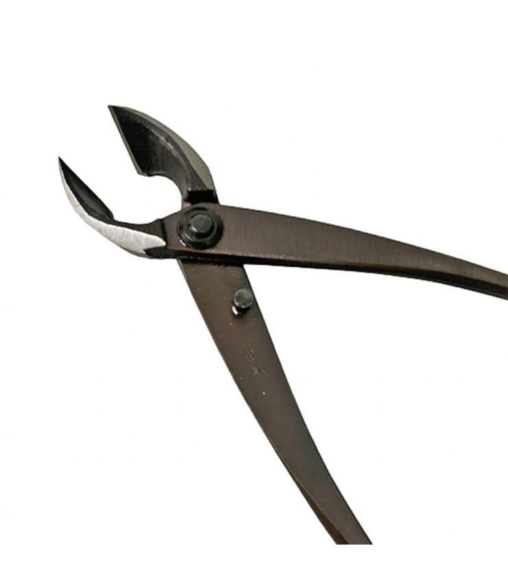 Bonsai Concave Branch Cutter 銀峰 Yagimitsu (JAPAN)