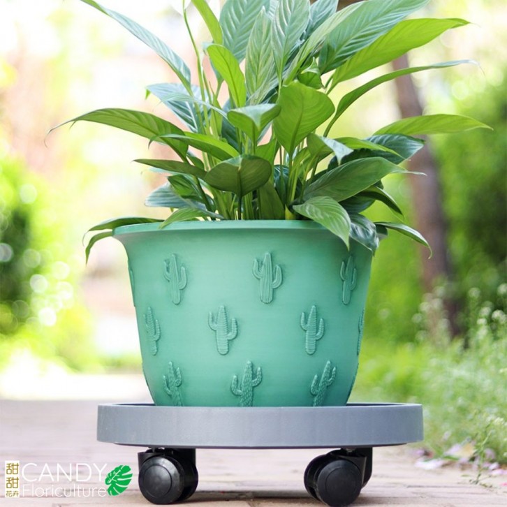 Flower Pot Caddy 钢化圓轮托盤 (HuaBoShi 花博士) Saucer with wheels