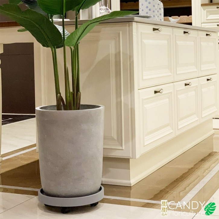 Flower Pot Caddy 钢化圓轮托盤 (HuaBoShi 花博士) Saucer with wheels