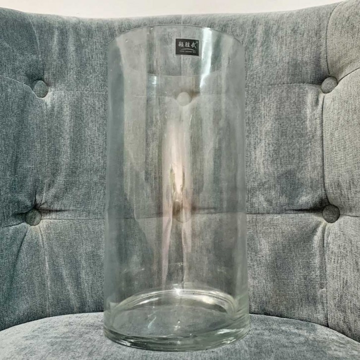 Iris Pseudacorus (Aquatic Plant)