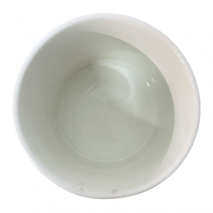 Decorative Planter Pot (2519)