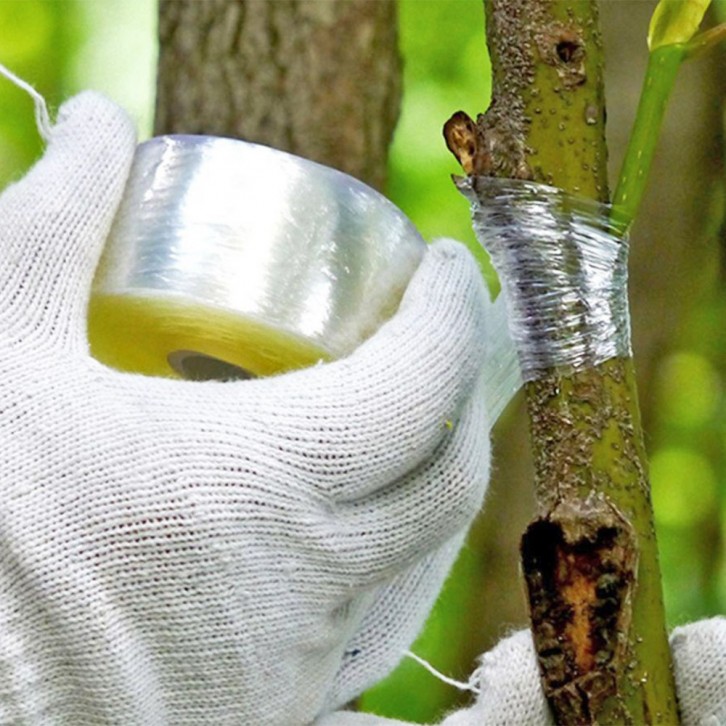 Grafting Tape