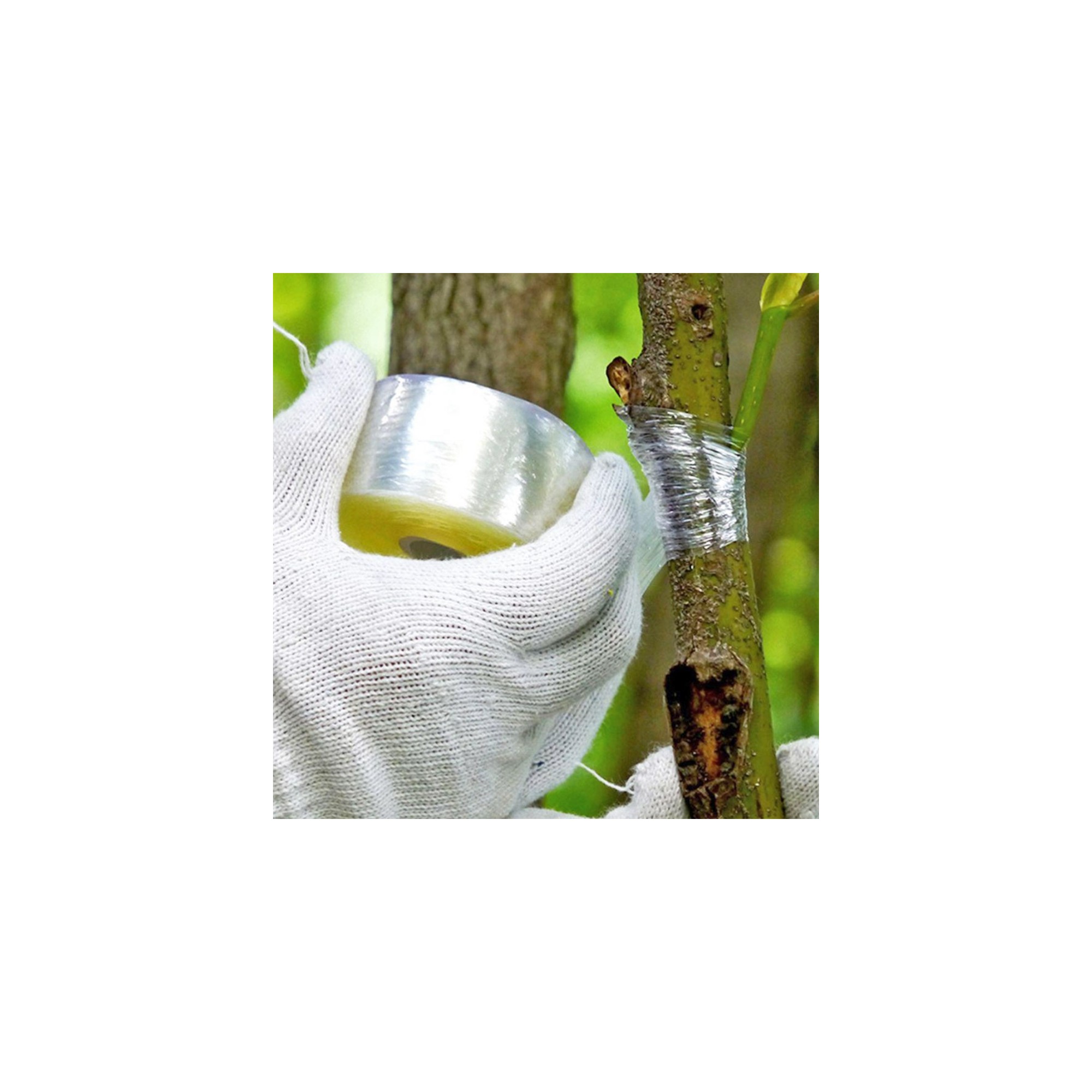 Grafting tape for plants