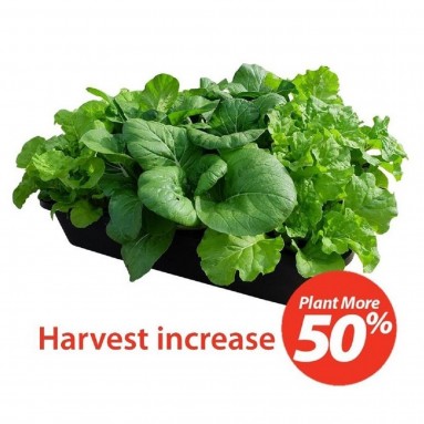 YASA-i Super Vege Tray (BABA)