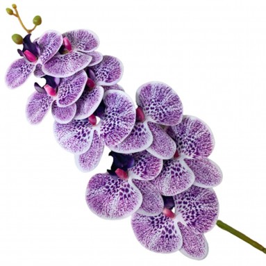 Artificial Phalaenopsis