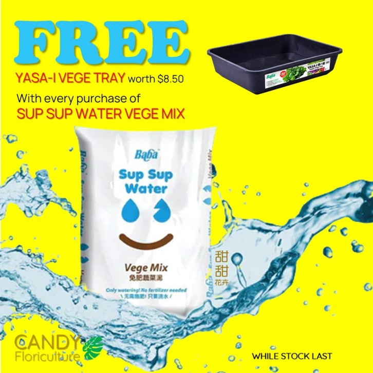 SUP SUP WATER Vege Mix 28L (Baba)