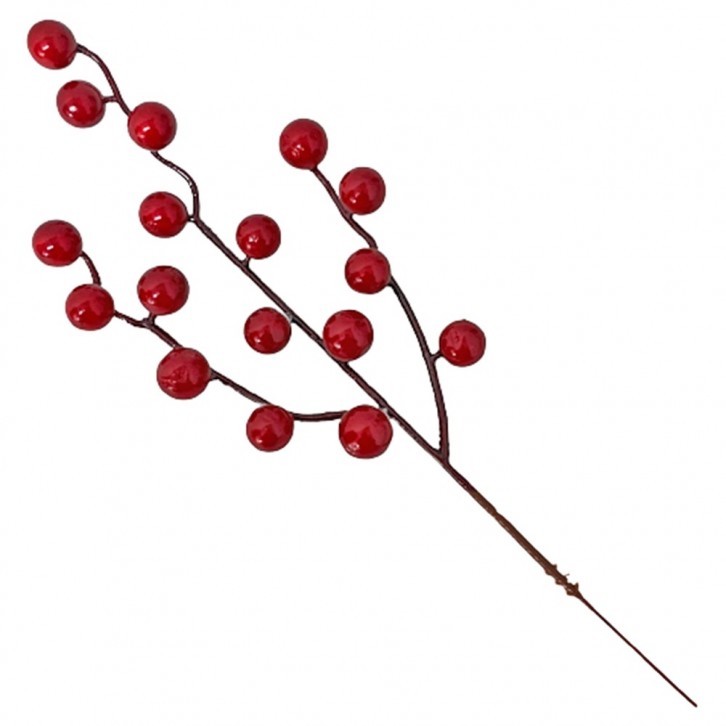Decorative Red Berries