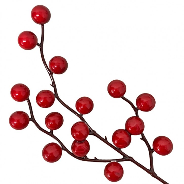 Decorative Red Berries