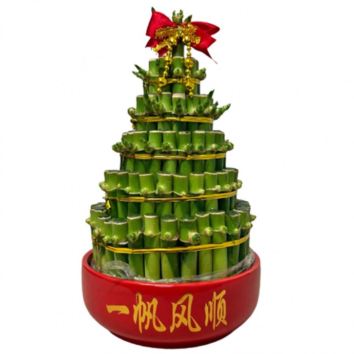CNY Lucky Bamboo Arrangement 5S 富貴竹 (3651)