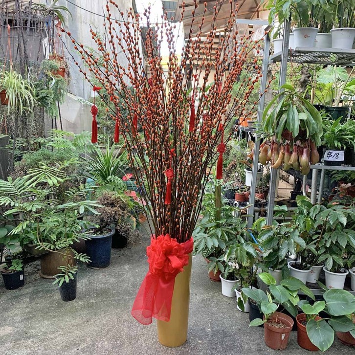 升官发财 Promotions and Wealth (Pussy willow arrangement)