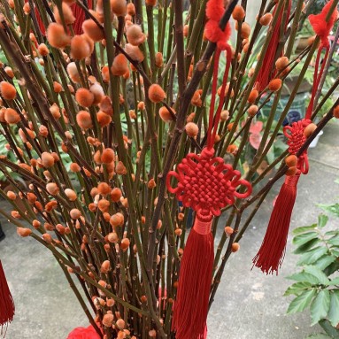 升官发财 Promotions and Wealth (Pussy willow arrangement)