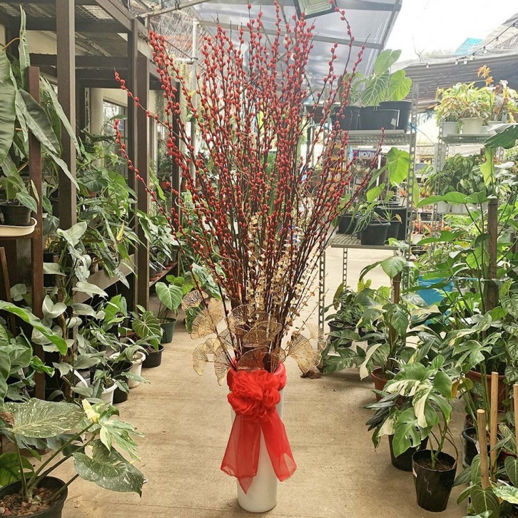 岁岁平安 Peace All Year Round (Pussy willow arrangement)