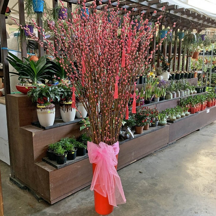 恭贺新年 A Happy New Year