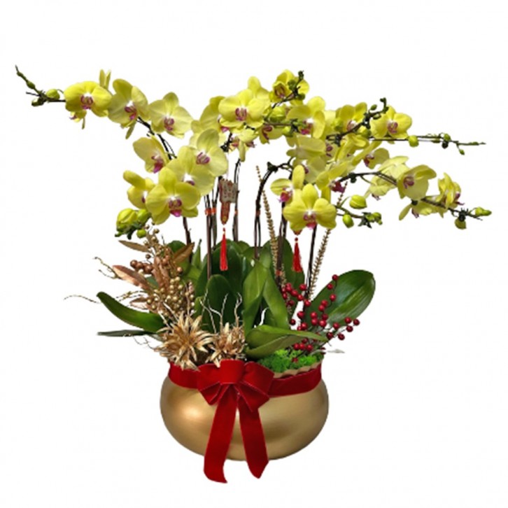 CNY Phalaenopsis 蘭花 Orchid Centrepiece (3676)